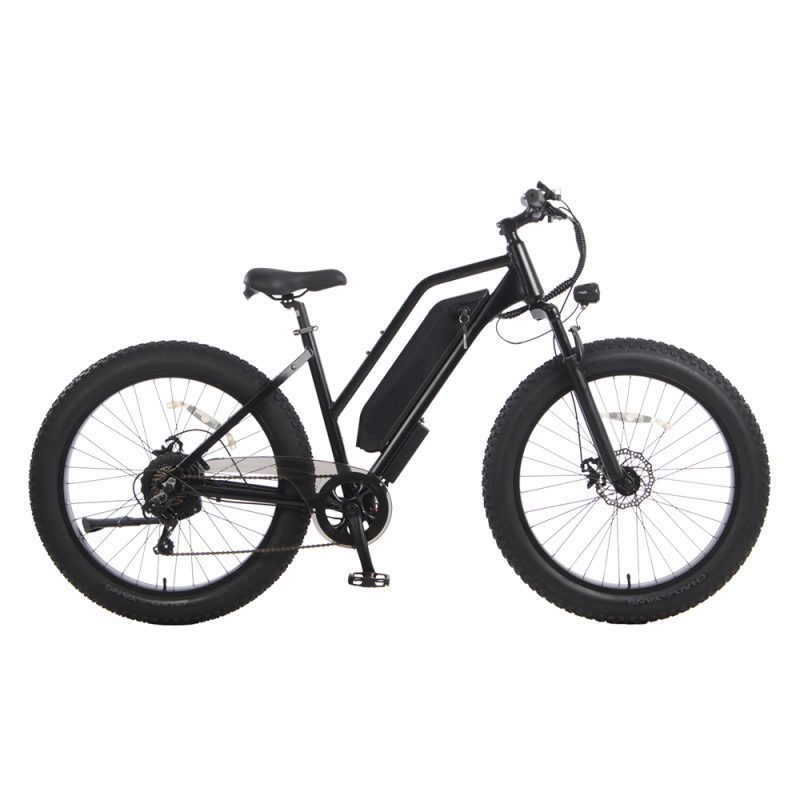 Electric Bike-Electric Mountain Bike-Model -64 Kirin