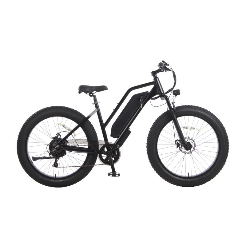 Ebike-MID Drive Ebike-Model -64 Kirin