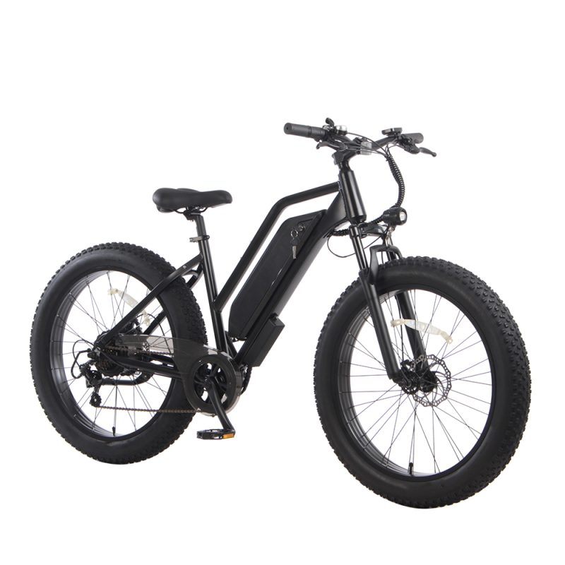 Electric Bicycle-Electric Mountain Bicycle-Model -64 Kirin