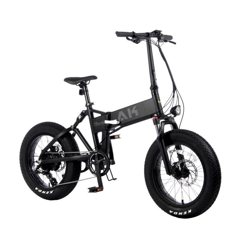 Ebike-Fat Mountain Ebike-Model -47