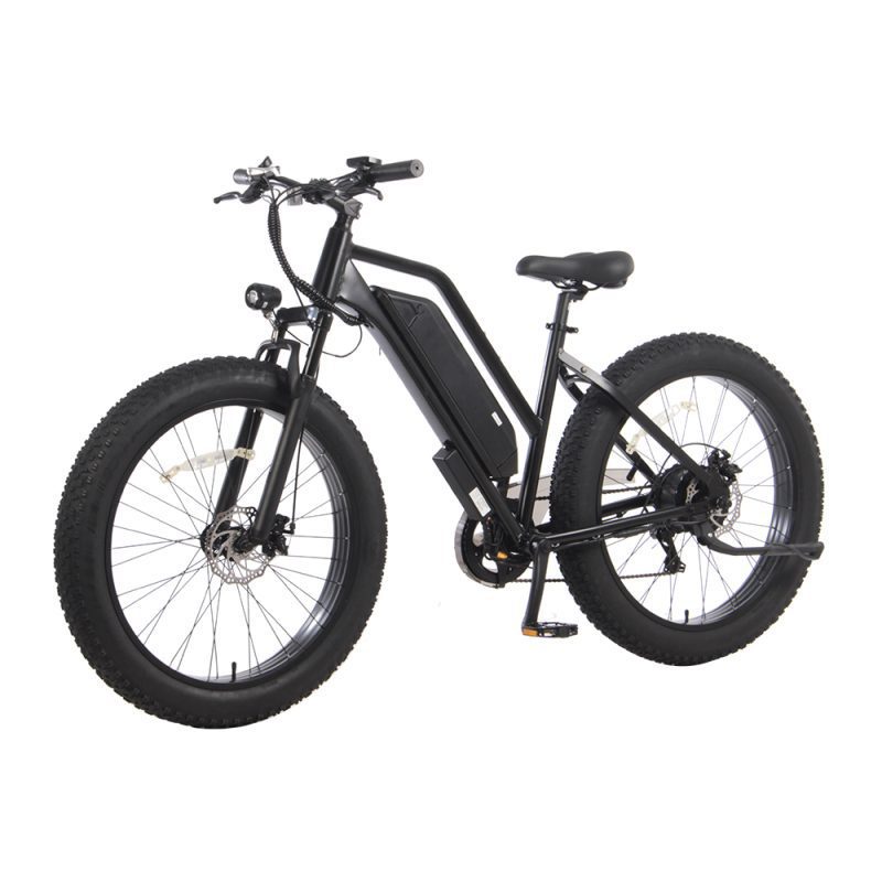 Ebike-Fat Tire Ebike-Model -64 Kirin