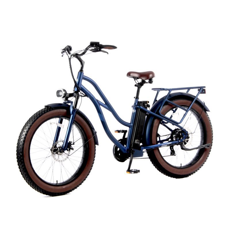 Ebike-Fat Urban Ebike-Model -43