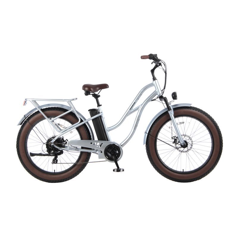 Electric Bike-Electric City Bike-Model -43