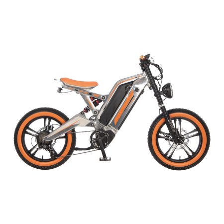 Eelectric Bicycle-Electric Motorbike-Model-80
