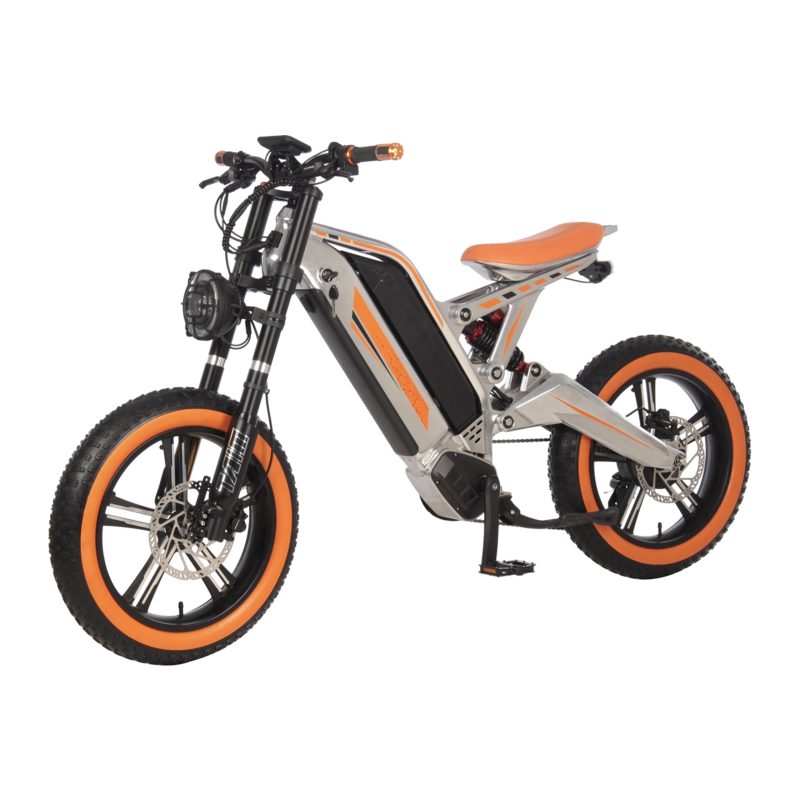 Electric Bike-Electric Motorbike-Model -80